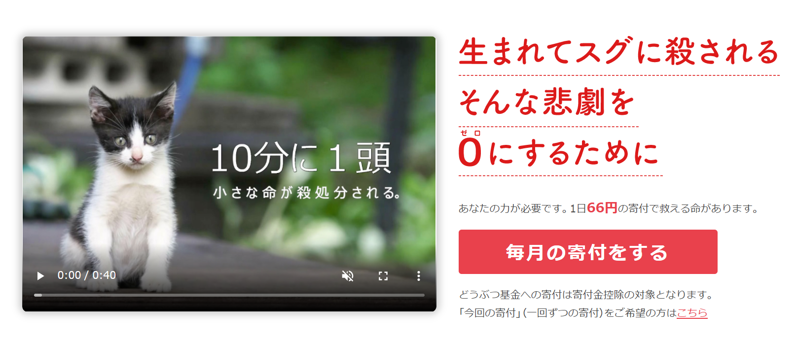 新着記事一覧 教科書に載らないガチ対訳 楽天ブログ