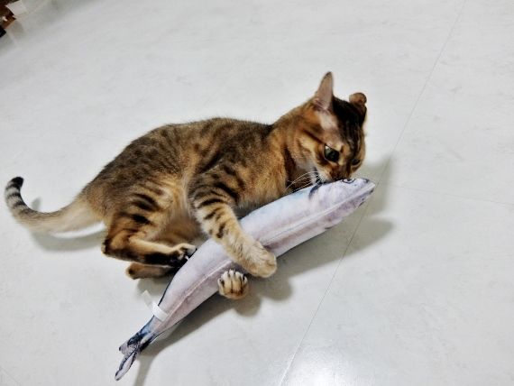 猫 ねこ おもちゃ 超リアル さんま けりぐるみ 蹴り