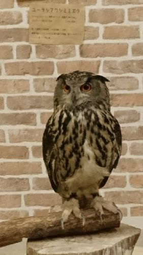 rblog-20180214194818-03.jpg