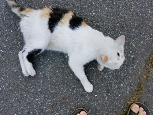 rblog-20180728221049-03.jpg