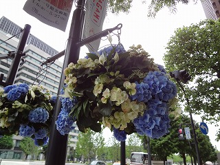 DSC01130.jpg