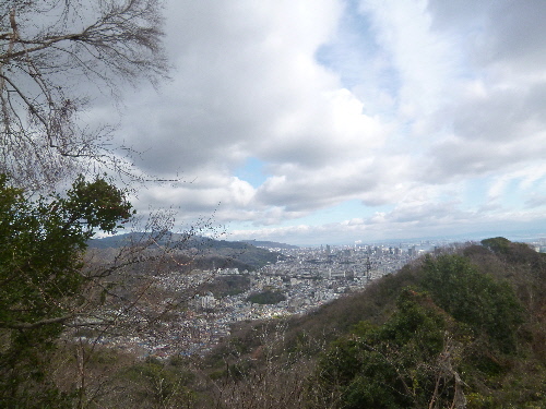 P1080437(1).JPG