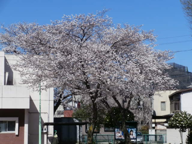 P3310027.JPG
