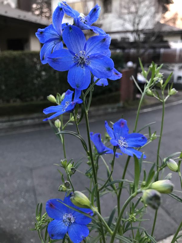rblog-20180328191210-00.jpg