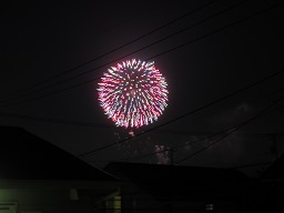 IMG_3739.JPG