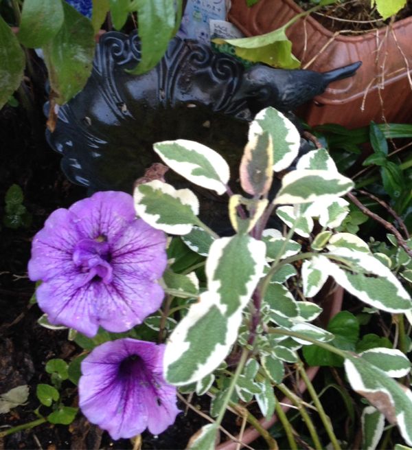 rblog-20140721212529-03.jpg