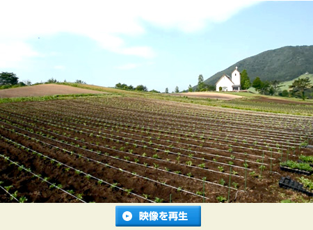 blog_photo_20140616-02.jpg