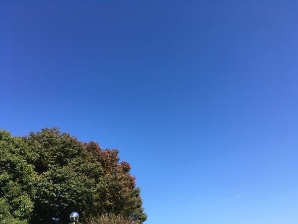 rblog-20171101151918-01.jpg