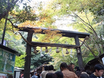 野々宮２.jpg