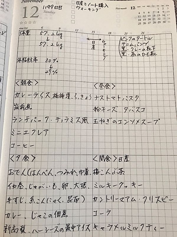 ダイエット食事日記１１９９日目 日産でノート購入 ウォーキング Music Land 私の庭の花たち 楽天ブログ