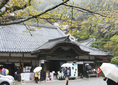 吉野3