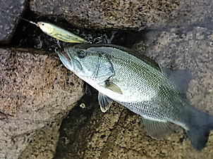 2016.8北湖2人9.png
