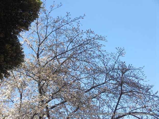 別れた後の男性の気持ちは？