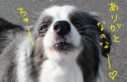 ちゅー