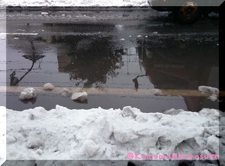 DSC_0704.jpg