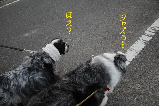 追及
