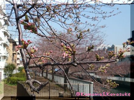 DSC_0979.jpg