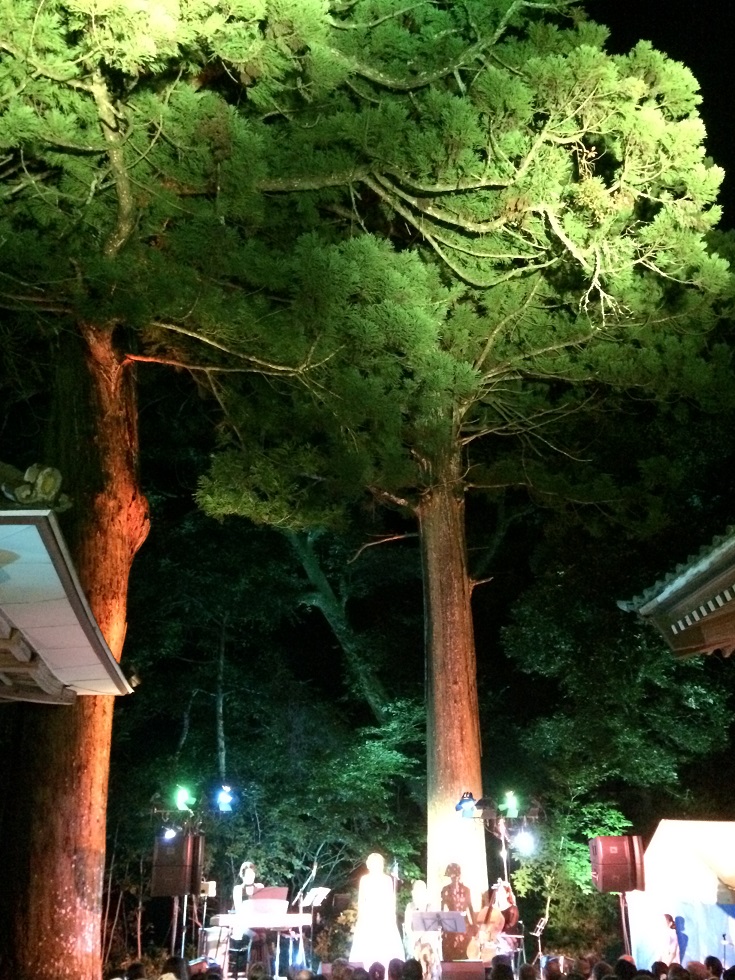 030.JPG