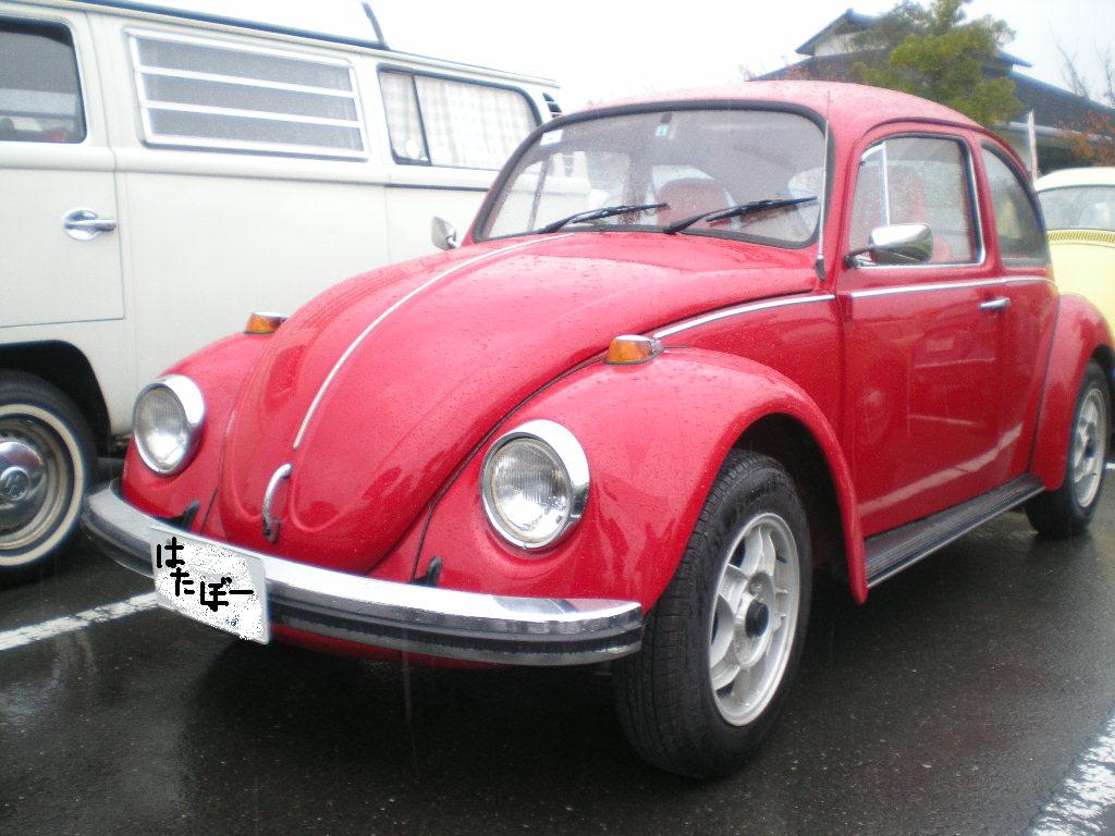 はたぼーさんのビートルちゃん