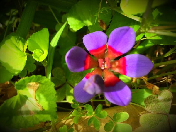 rblog-20150430203418-02.jpg