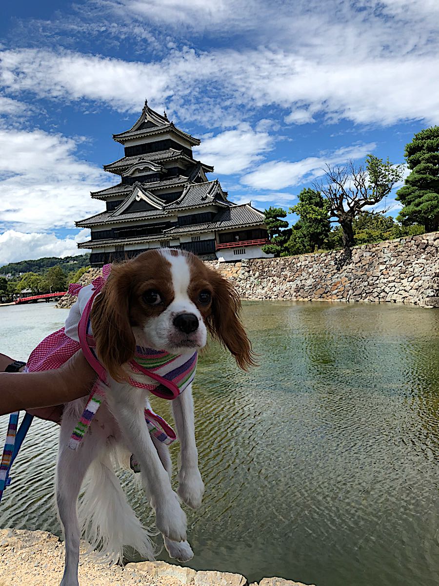 rblog-20180822205519-07.jpg