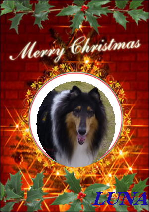 2015クリスマスカード_お母さん