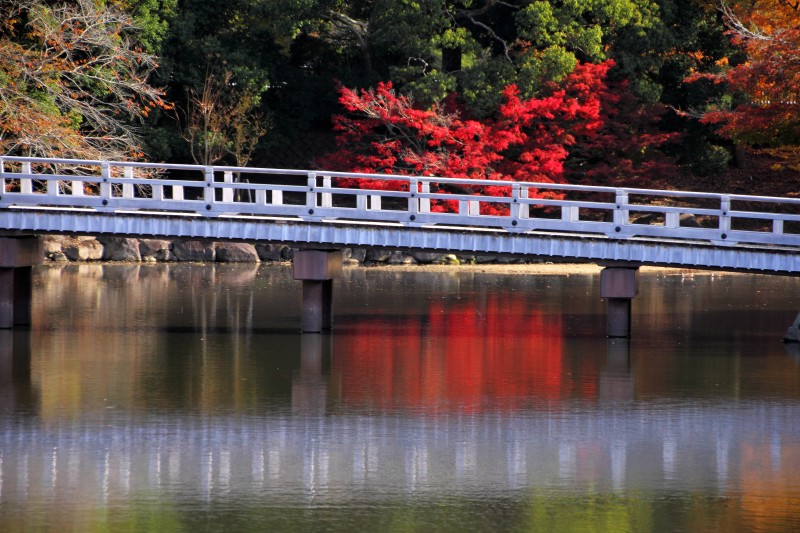 奈良公園・浮見堂_005.jpg