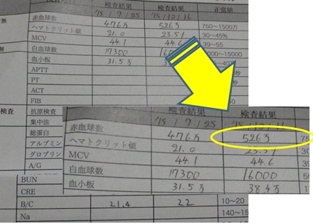 20151018_3.jpg