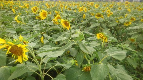 rblog-20180912132301-01.jpg