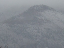 20160324-1.jpg