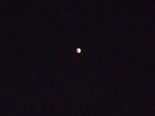 rblog-20180131221459-01.jpg