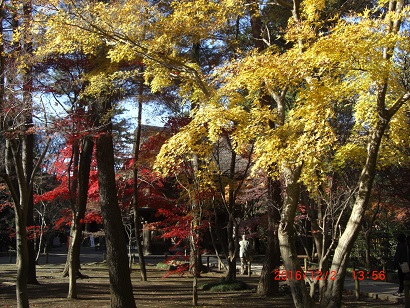 平林寺入口.jpg