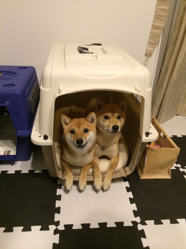 rblog-20150721125621-06.jpg