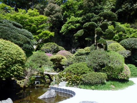 報国寺庭