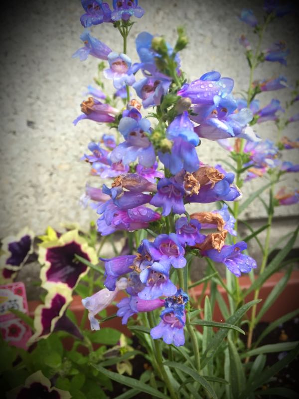 rblog-20160530190925-08.jpg