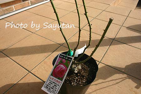 ラ・レーヌヴィクトリア