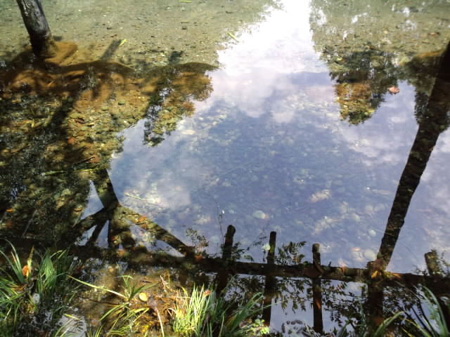ML_CA3F000700010002.jpg
