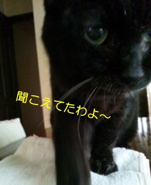 20120828_5.jpg