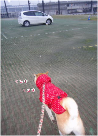 0130朝.jpg