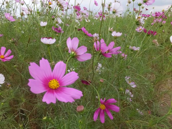 rblog-20140923152219-03.jpg