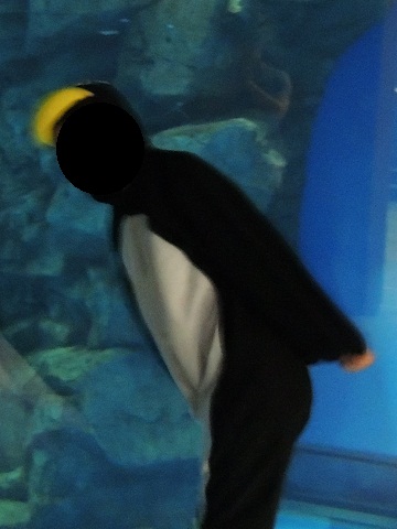 ペンギンのコスプレ