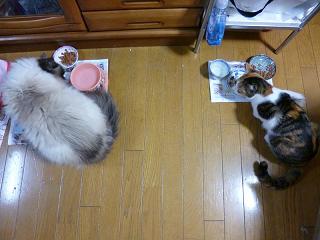 コピー ～ 画像 119.jpg