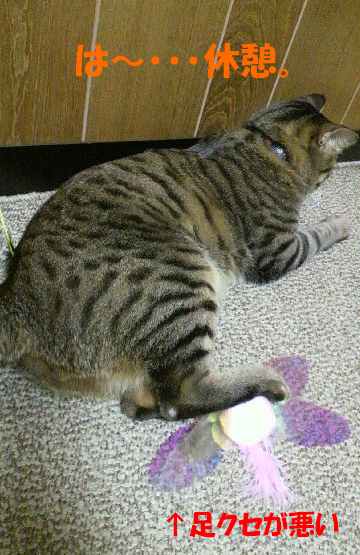 20140226足クセが悪い.jpg