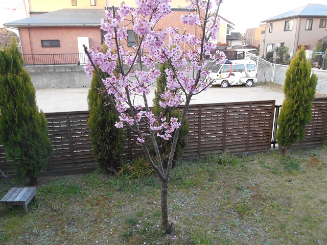 DSCN1727.JPG