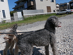 conv0595.JPG