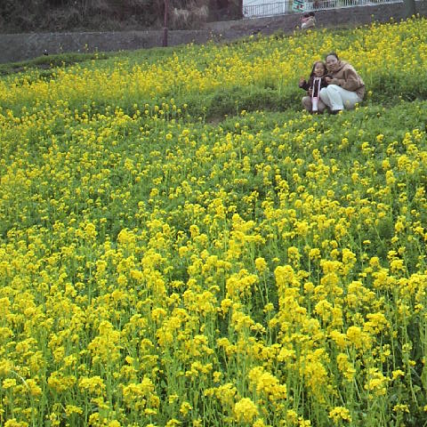2012040115530000.JPG