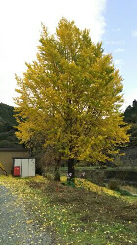 rblog-20161123132048-01.jpg