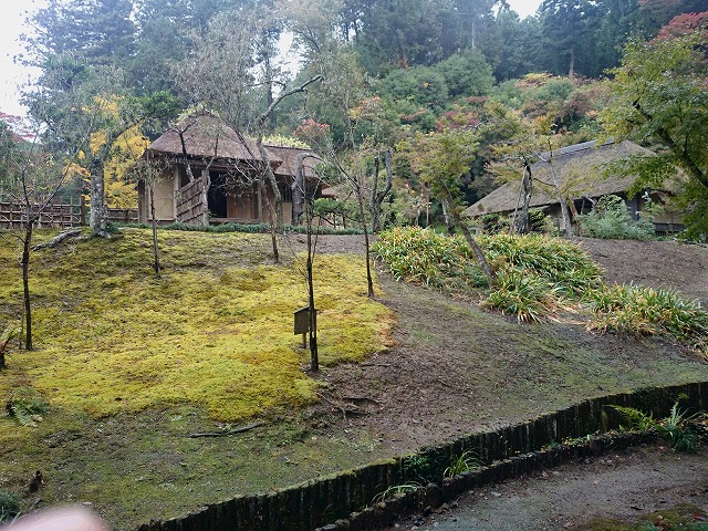 DSC_0421.jpg
