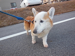 conv0391.JPG