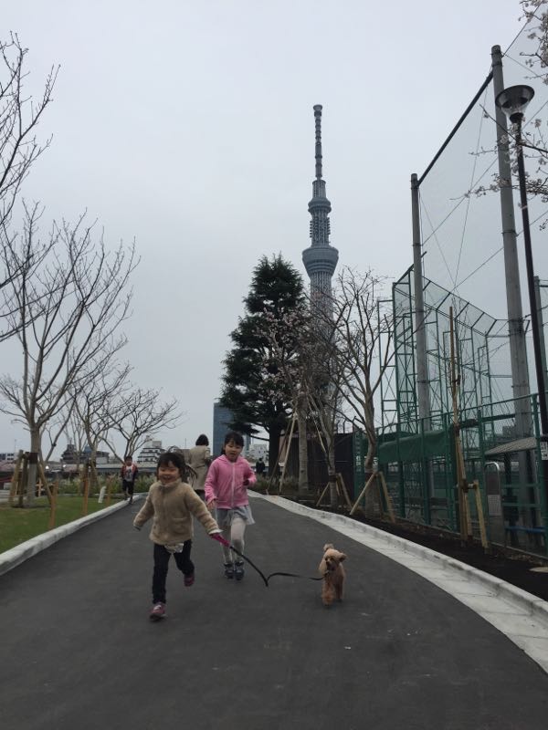 rblog-20160405010340-03.jpg